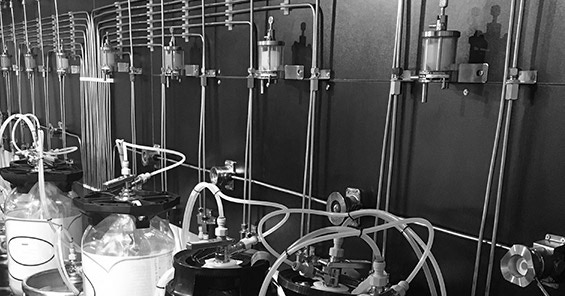 Impianti spillatura Bilivin