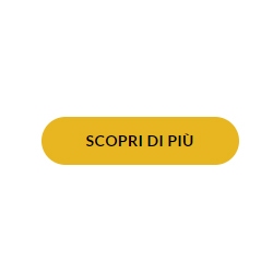 Scopri di più su Bilivin